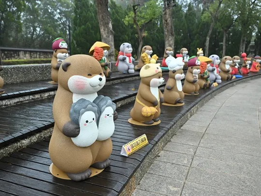 水獺阿特快閃計畫