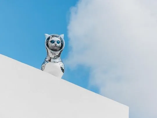 船仔貓